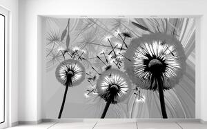 Gario Fototapeta Čiernobiele púpavy Veľkosť: 268 x 240 cm, Materiál: Vliesová