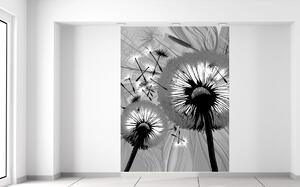Gario Fototapeta Čiernobiele púpavy Veľkosť: 150 x 200 cm, Materiál: Latexová