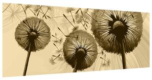 Gario Fototapeta Krémové púpavy Veľkosť: 412 x 248 cm, Materiál: Latexová