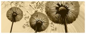 Gario Fototapeta Krémové púpavy Veľkosť: 200 x 135 cm, Materiál: Latexová