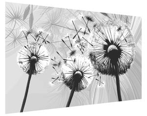 Gario Fototapeta Krásne čiernobiele púpavy Veľkosť: 110 x 200 cm, Materiál: Latexová