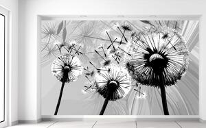 Gario Fototapeta Krásne čiernobiele púpavy Materiál: Latexová, Veľkosť: 110 x 200 cm