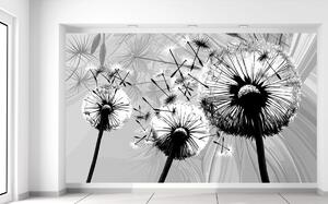 Gario Fototapeta Krásne čiernobiele púpavy Veľkosť: 402 x 240 cm, Materiál: Latexová