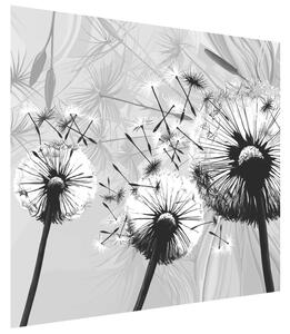 Gario Fototapeta Krásne čiernobiele púpavy Veľkosť: 268 x 240 cm, Materiál: Latexová