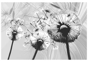Gario Fototapeta Krásne čiernobiele púpavy Veľkosť: 200 x 135 cm, Materiál: Latexová