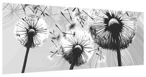 Fototapeta Krásne čiernobiele púpavy Materiál: Samolepiaca, Rozmery: 150 x 200 cm