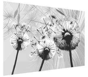 Gario Fototapeta Krásne čiernobiele púpavy Veľkosť: 536 x 240 cm, Materiál: Latexová