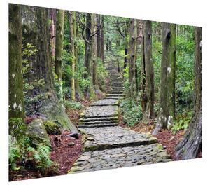 Fototapeta Cestička na Wakayama v Japonsku Materiál: Samolepiaca, Rozmery: 95 x 205 cm