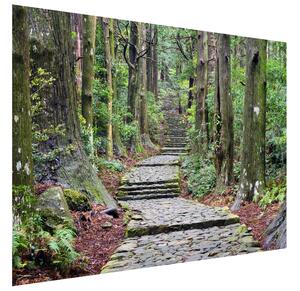 Gario Fototapeta Cestička na Wakayama v Japonsku Veľkosť: 268 x 100 cm, Materiál: Latexová