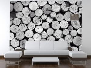 Gario Fototapeta Bezfarebná kopa dreva Veľkosť: 200 x 135 cm, Materiál: Latexová