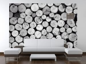 Gario Fototapeta Bezfarebná kopa dreva Veľkosť: 200 x 150 cm, Materiál: Latexová