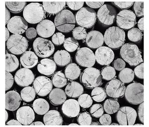 Gario Fototapeta Bezfarebná kopa dreva Veľkosť: 268 x 240 cm, Materiál: Latexová