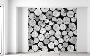 Gario Fototapeta Bezfarebná kopa dreva Veľkosť: 268 x 240 cm, Materiál: Latexová
