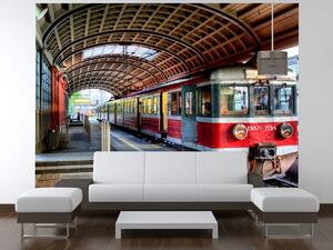 Gario Fototapeta Červený vlak Veľkosť: 200 x 135 cm, Materiál: Latexová