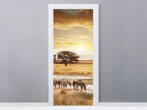 Gario Fototapeta na dvere Zebry na Safari Veľkosť: 95 x 205 cm, Materiál: Samolepiaca