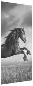 Gario Fototapeta na dvere Tajomný čierny kôň Veľkosť: 95 x 205 cm, Materiál: Samolepiaca