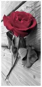 Gario Fototapeta na dvere Očarujúca ruža Veľkosť: 95 x 205 cm, Materiál: Samolepiaca