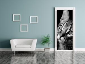 Fototapeta na dvere Pohľad mačky - Visualpanic Materiál: Samolepiaca, Rozmery: 95 x 205 cm