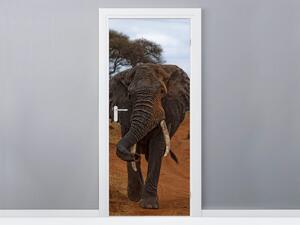 Gario Fototapeta na dvere Slonica Siema - Feans Veľkosť: 95 x 205 cm, Materiál: Samolepiaca