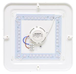LED stropné svietidlo Ecolite WCL19S 20 W neutrálna biela