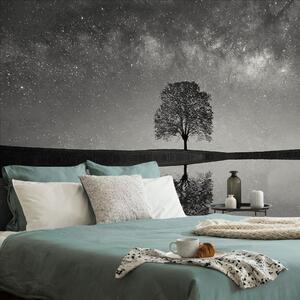 Fototapeta čiernobiela hviezdna obloha nad osamelým stromom