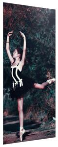 Gario Fototapeta na dvere Krásna baletka v čiernom Veľkosť: 95 x 205 cm, Materiál: Samolepiaca