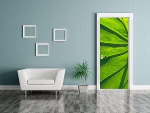 Fototapeta na dvere Zelený list Materiál: Samolepiaca, Rozmery: 95 x 205 cm