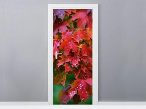 Fototapeta na dvere Jesenné listy Materiál: Samolepiaca, Veľkosť: 95 x 205 cm