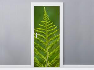 Fototapeta na dvere Zelená papraď Materiál: Samolepiaca, Veľkosť: 95 x 205 cm