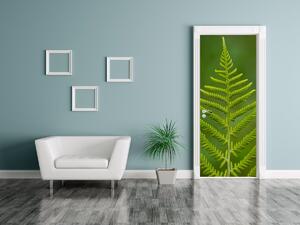 Fototapeta na dvere Zelená papraď Materiál: Samolepiaca, Rozmery: 95 x 205 cm