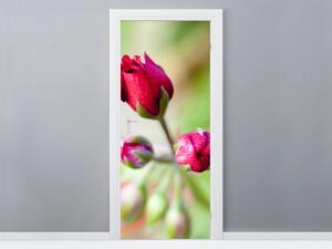Fototapeta na dvere Púčiky ruže Materiál: Samolepiaca, Veľkosť: 95 x 205 cm