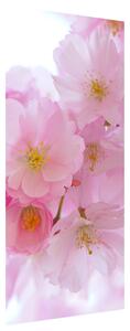 Gario Fototapeta na dvere Ružové kvety višne Veľkosť: 95 x 205 cm, Materiál: Samolepiaca