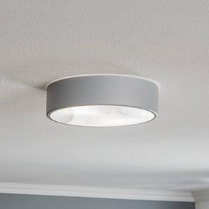 Stropné svietidlo Cleo 300, IP54, Ø 30 cm sivá