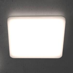 STEINEL RS PRO R20 Q basic stropné LED, 3 000 K