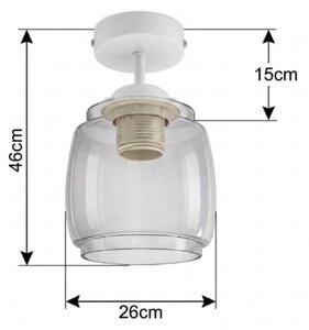 BRILAGI - LED Prisadený luster R GLASS 1xE27/60W/230V pr. 26 cm biela/dymová sivá