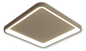 BRILAGI - LED stmievateľné stropné svietidlo FALCON SLIM LED/50W/230V 50x50 cm béžové + diaľkový ovládač