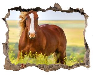 Díra 3D fototapeta nálepka Hnedý kôň nd-k-111439137