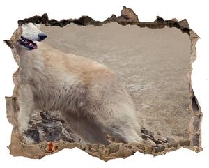 Díra 3D fototapeta na stěnu Biely vlk na skale