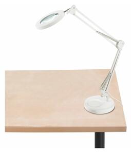 Extol - LED Stmievateľná stolná lampa s lupou LED/8W/5V 2900/4500/7500K biela
