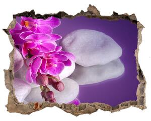 Fotoobraz díra na stěnu Orchidea nd-k-95985496