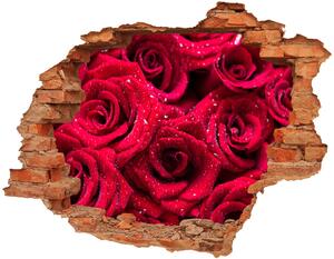 Nálepka diera na stenu Kvapky na ružiach nd-c-122317792