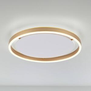 LED stropné svietidlo Ritus, Ø 39,3 cm matná mosadz, Hnedá / staromosadz, Obývacia izba / jedáleň, Hliník, Moderný, Závesné svietidlo