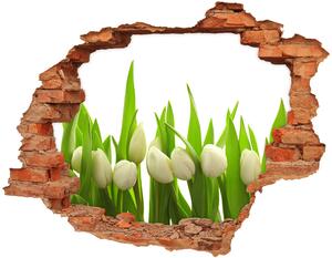 Samolepiaca diera na stenu Biele tulipány nd-c-40774643