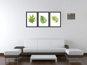 Gario Sada plagátov Zelené listy - 3 dielna Farba rámu: Zlatá, Veľkosť: 99 x 45 cm