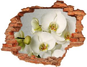 Samolepiaca diera Biela orchidea nd-c-67521473