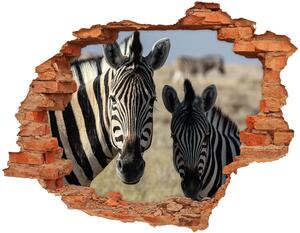Diera 3D v stene nálepka Dve zebry nd-c-70684470