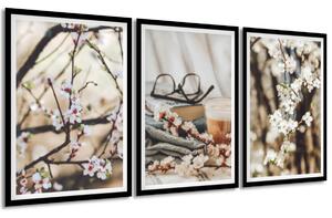 Gario Sada plagátov Ovocné stromy - 3 dielna Farba rámu: Bez rámu, Veľkosť: 135 x 63 cm