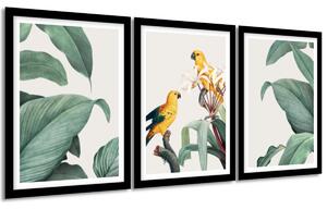 Sada plagátov Papagáje a listy - 3 dielna Farba rámu: Bez rámu, Veľkosť: 99 x 45 cm