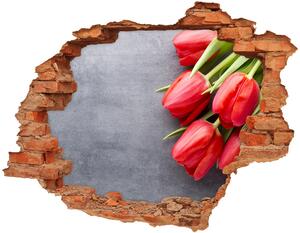 Diera 3D fototapeta nálepka Červené tulipány