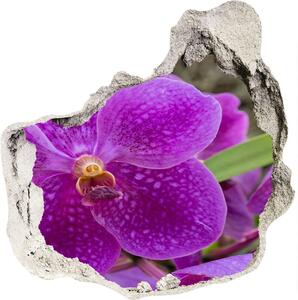 Samolepiaca nálepka Orchidea nd-p-64607986